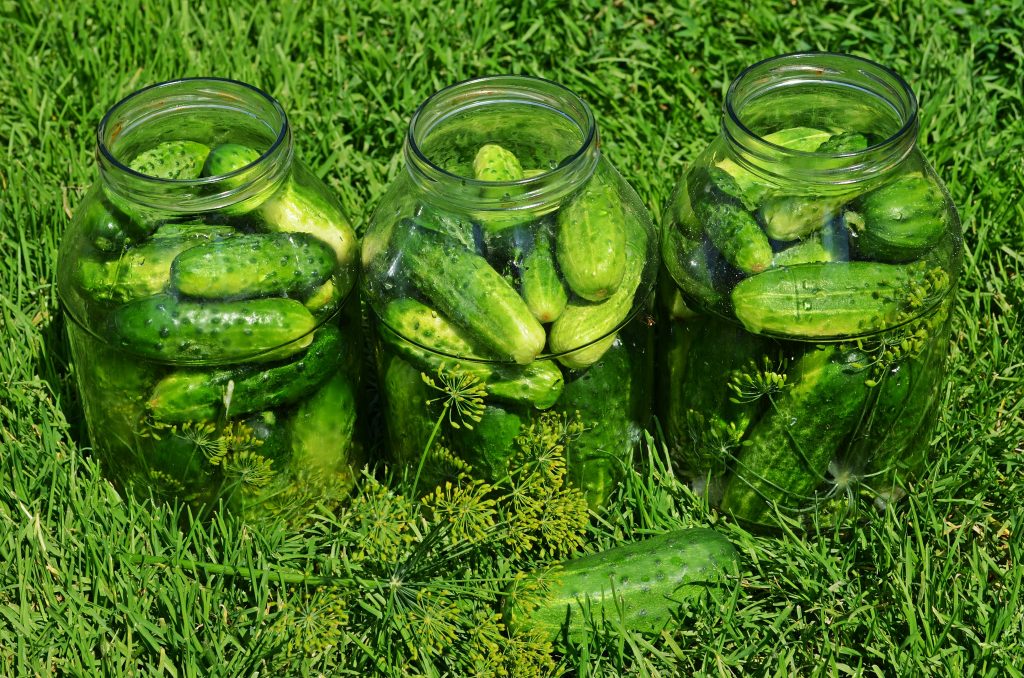 cucumbers-849268 pixabay