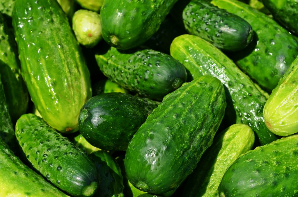 cucumbers-849269 pixabay